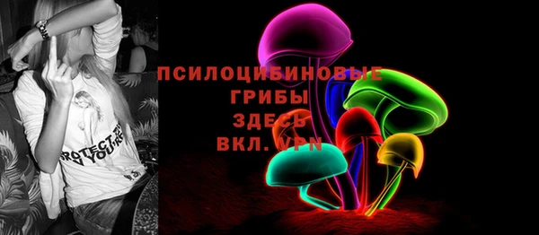 спайс Алексин