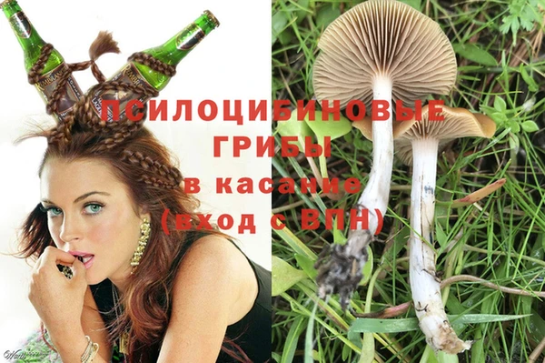 дурь Абдулино