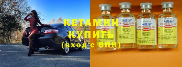 крисы Абаза