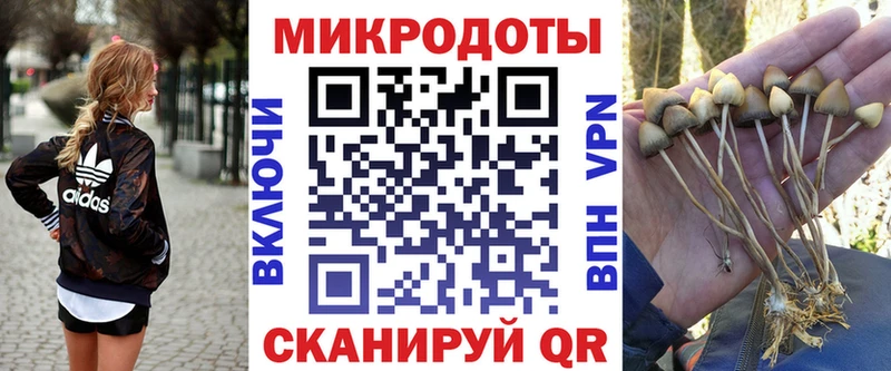 Псилоцибиновые грибы Magic Shrooms  Бердск 