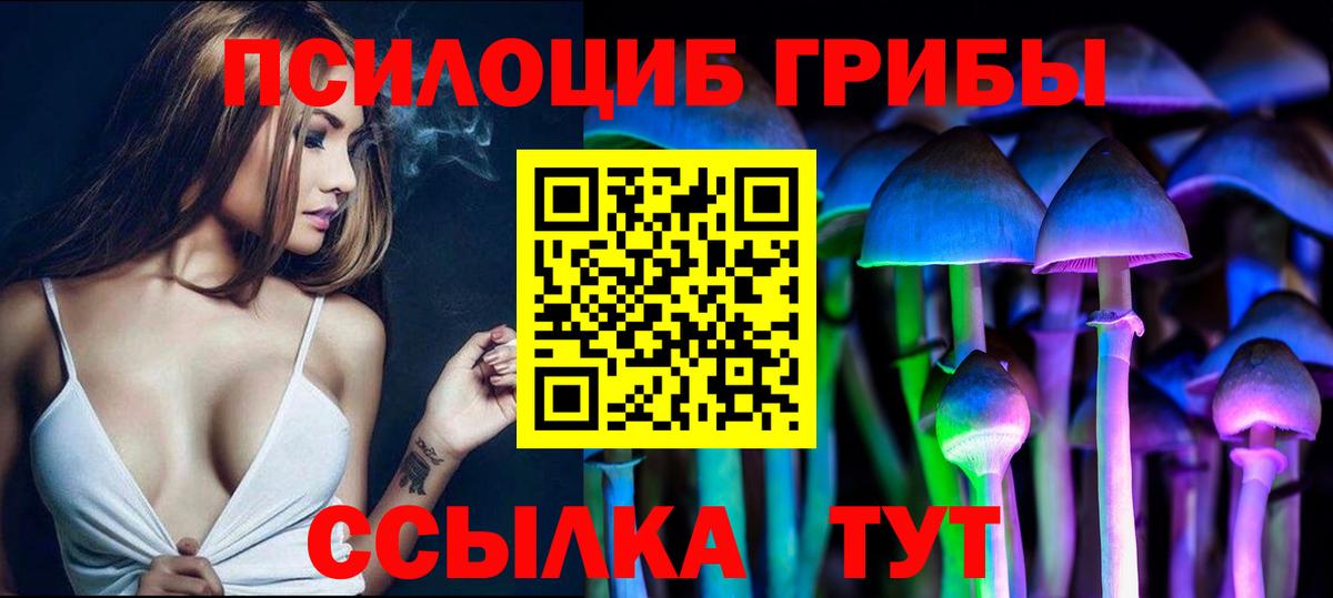 Галлюциногенные грибы Cubensis Бердск